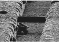 Nanowire Bridging Transistors (1 of 2)