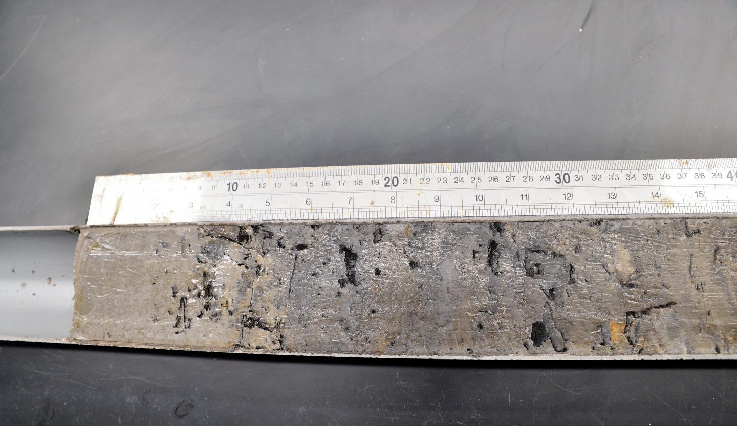 NTU scientists establish new records of Singapore's sea-level history, going back to 10,000 years ago