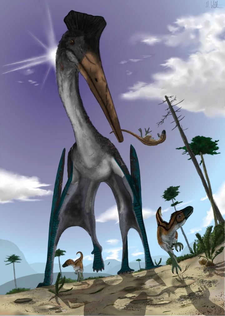 Tricky take-off kept pterodactyls grounded | EurekAlert!