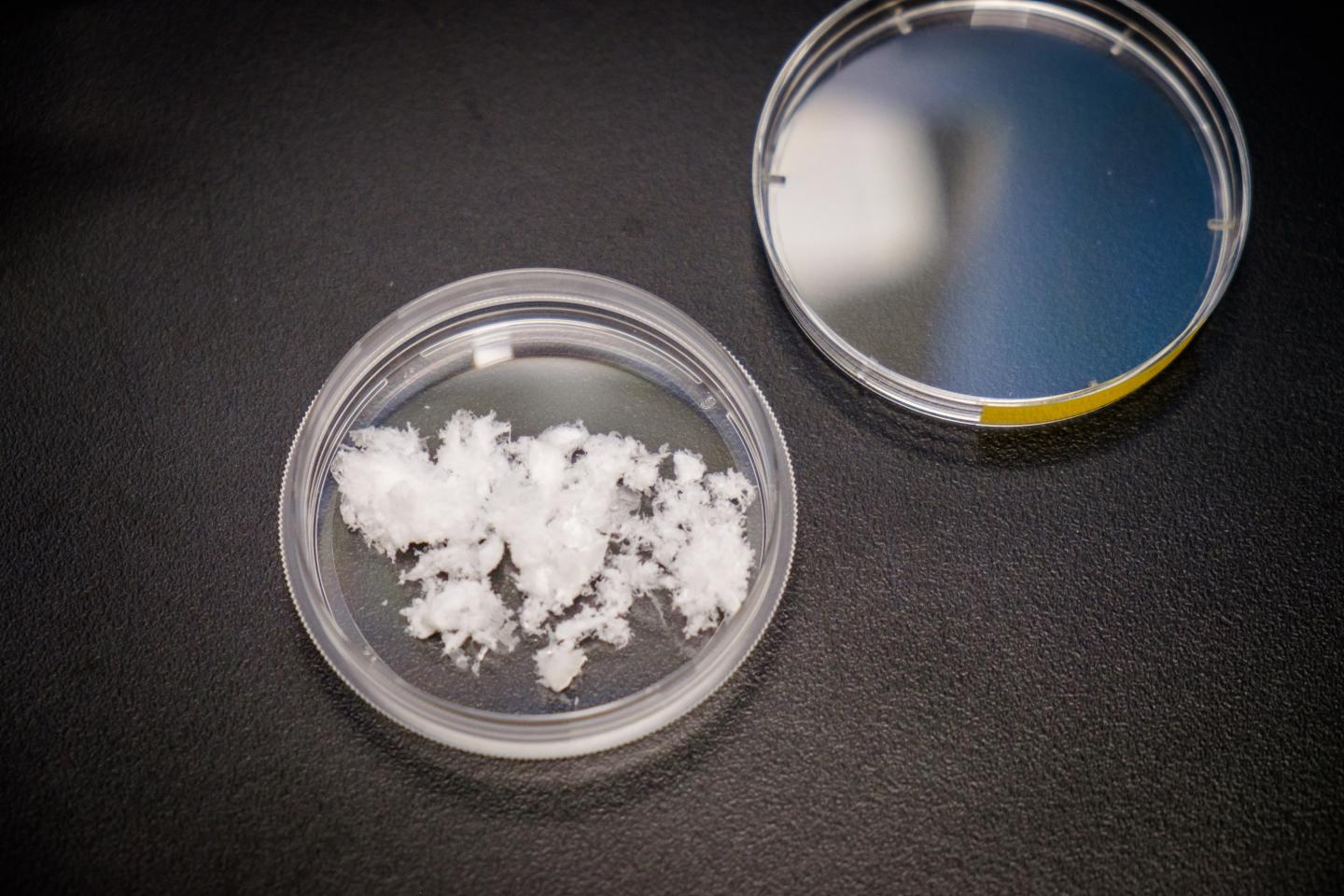 Nanocellulose Made from Wood Pulp used in Experiments