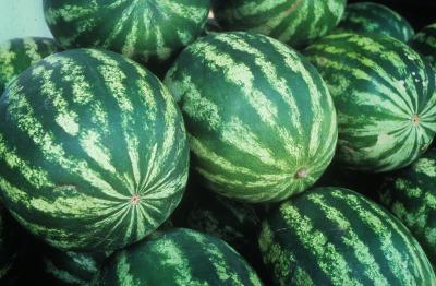 Seedless Watermelons