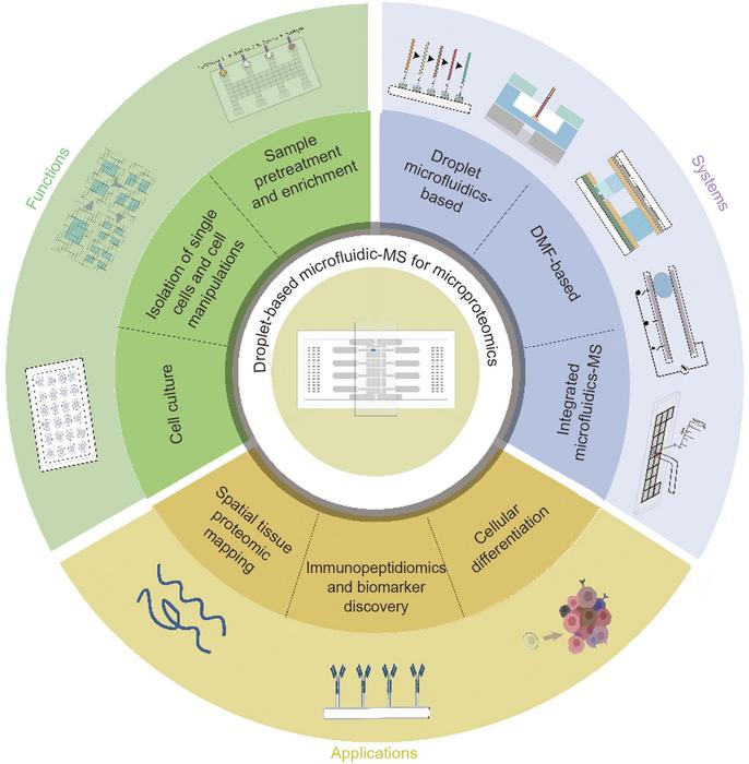 Droplet-based microfluidics with mass spectrometry as a powerful tool for microproteomics research