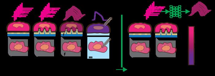 AI reading inside cells - 1