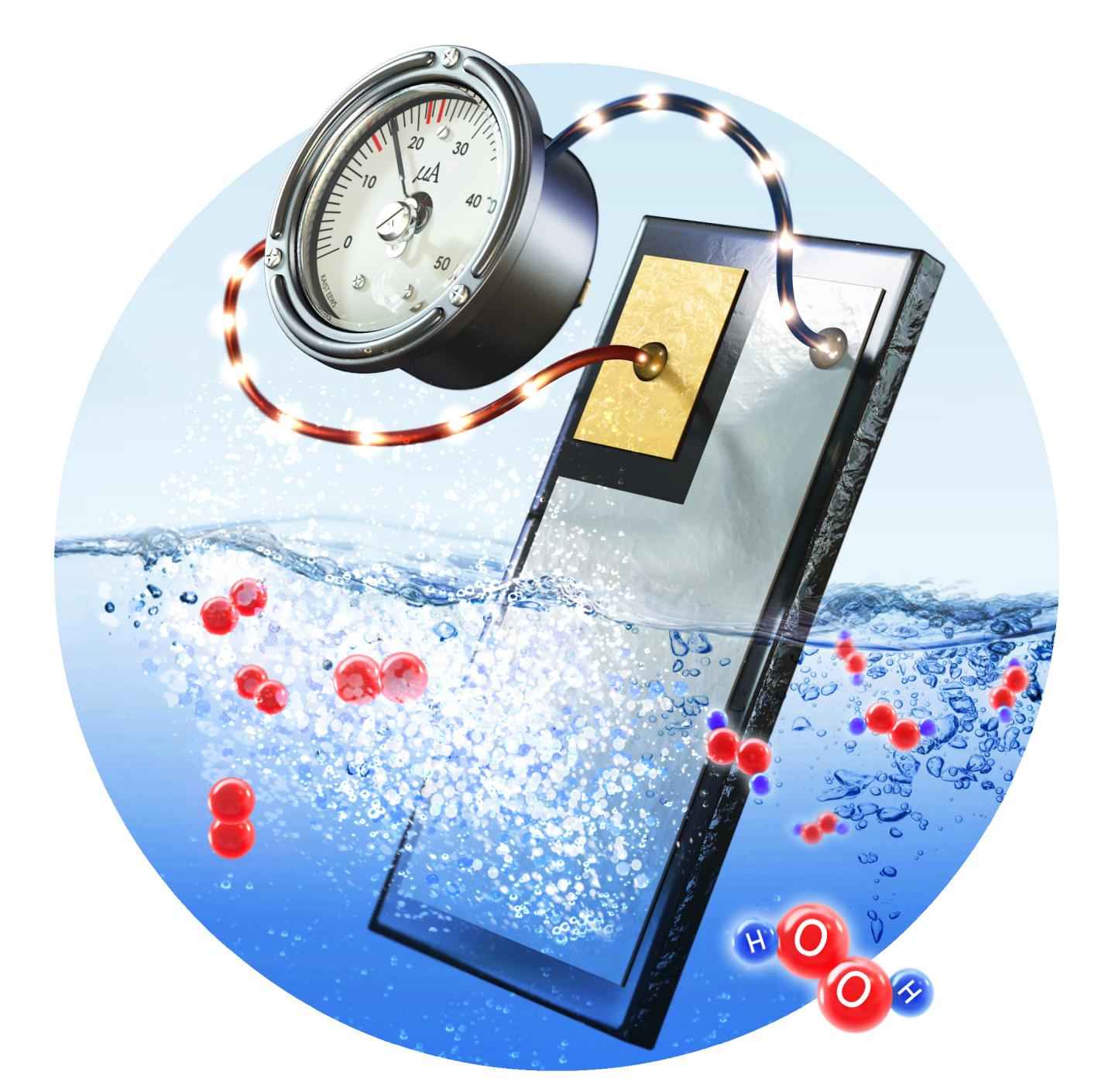 The IBS Team's Front Cover from <i>Angewandte Chemie</i>