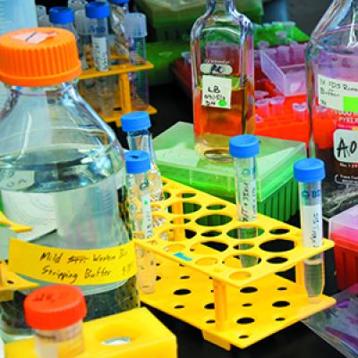 Tougher Requirements Lead More to Drop Out