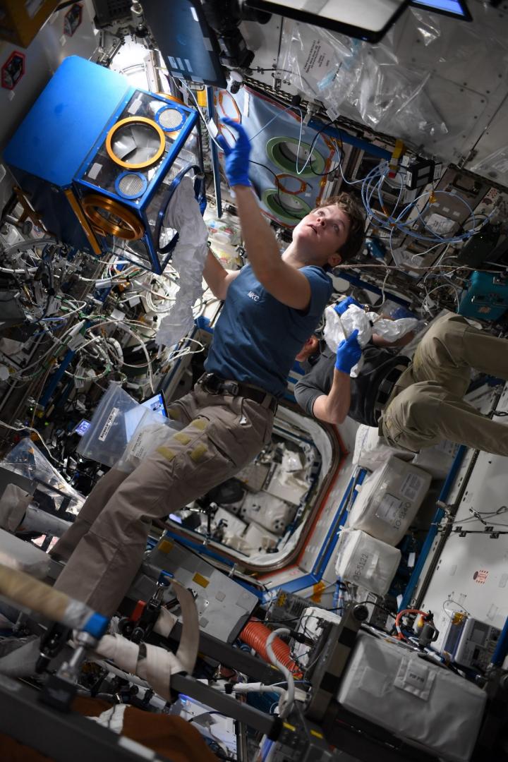 Mouse Habitat Unit [IMAGE] | EurekAlert! Science News Releases