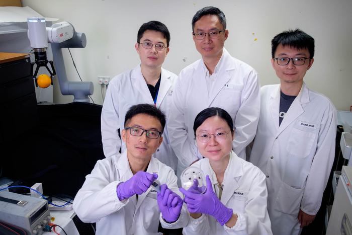 Team of NTU scientists who developed soft electronic prototypes that can control robots or wrap around organs for biomonitoring