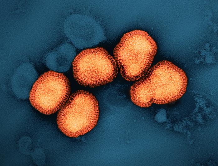 influenza A virus particles