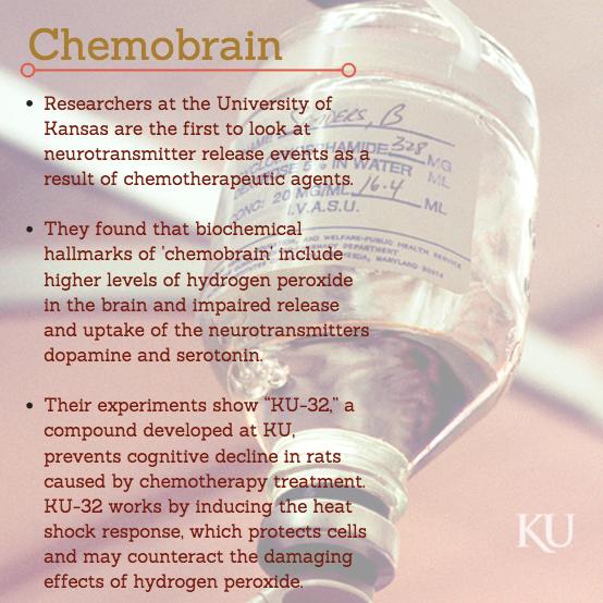 Chemobrain Explainer