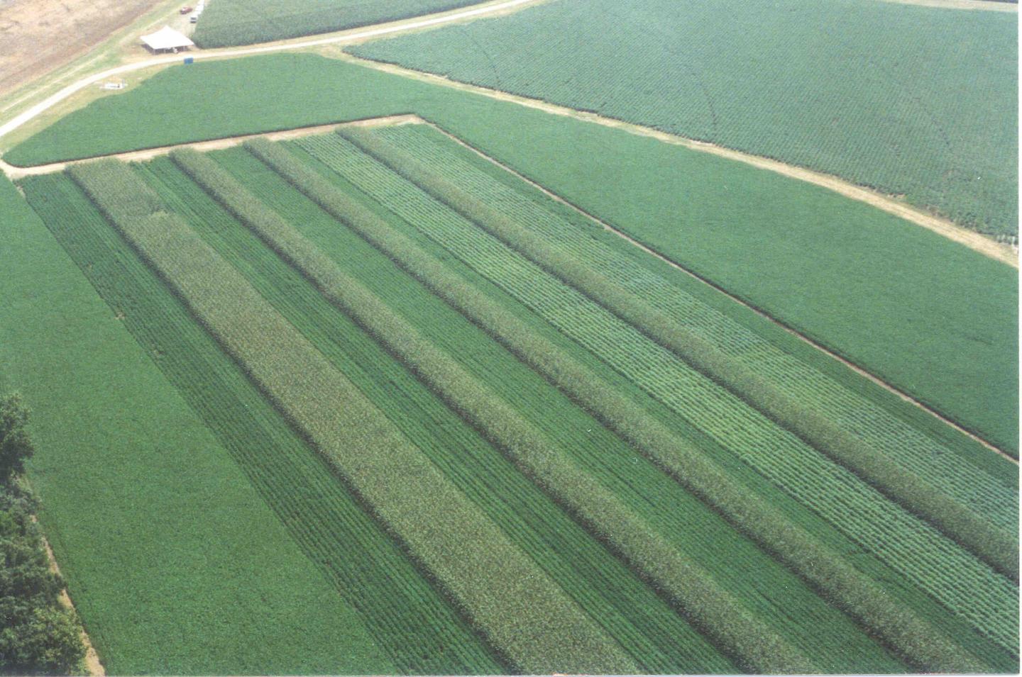 Aerial photo of Agronomic Systems Study in Milan, Tenn.