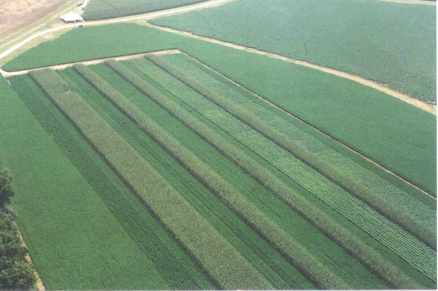 Aerial photo of Agronomic Systems Study in Milan, Tenn.