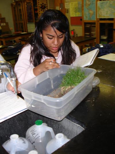 Soil Science Experiment