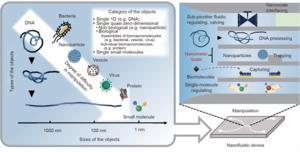 Potential of nanofluidic devices for manipulating individual nanometric objects(illustration)