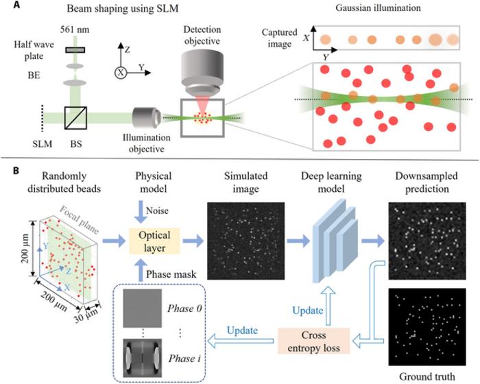 Deep design approach to improve optical sectioning and image quality in light-sheet fluorescence microscopy.