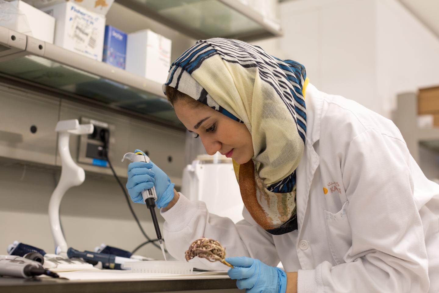PhD Student Dina Hajjar, King Abdullah University of Science & Technology (KAUST) 