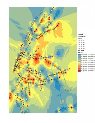 Heatmap of <i>Pseudomonas</i>