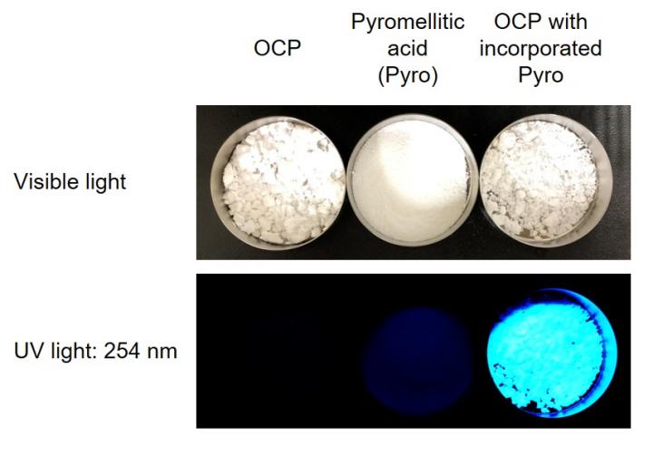 Images of OCP, pyromellitic acid and OCP with incorporated pyromellitic acid under visible and UV light (254 nm).