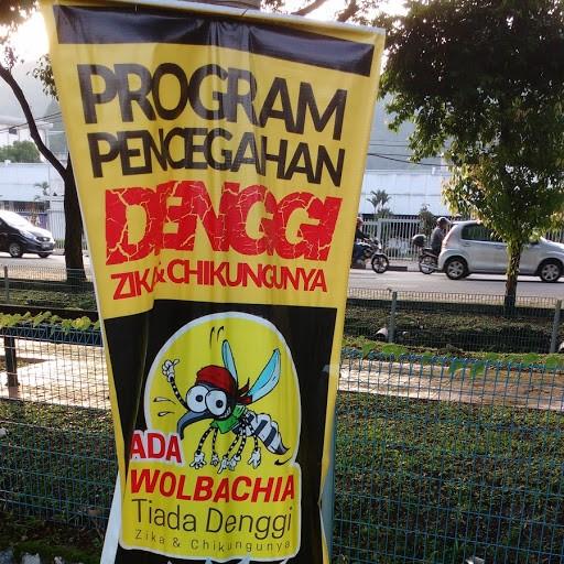 Welcome to Wolbachia Malaysia Trial