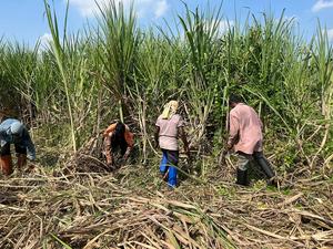 farmers testing armor