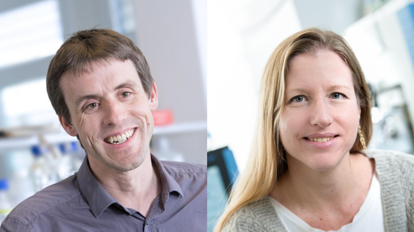 David Gfeller and Michal Bassani-Sternberg, Ludwig Cancer Research