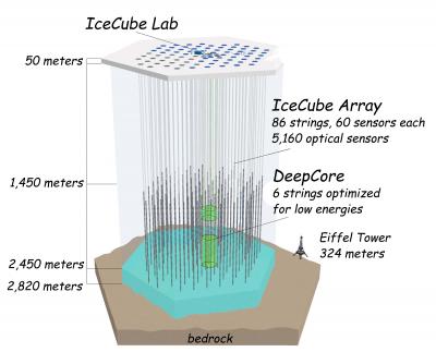 IceCube Schematic
