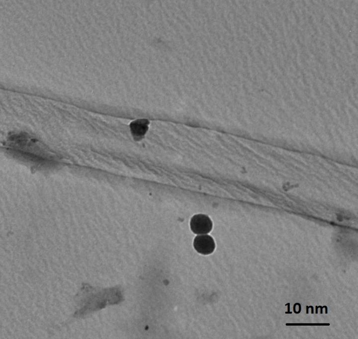 Novel Plastic Could Spur New Green Energy Applications, 'Artificial Muscles'