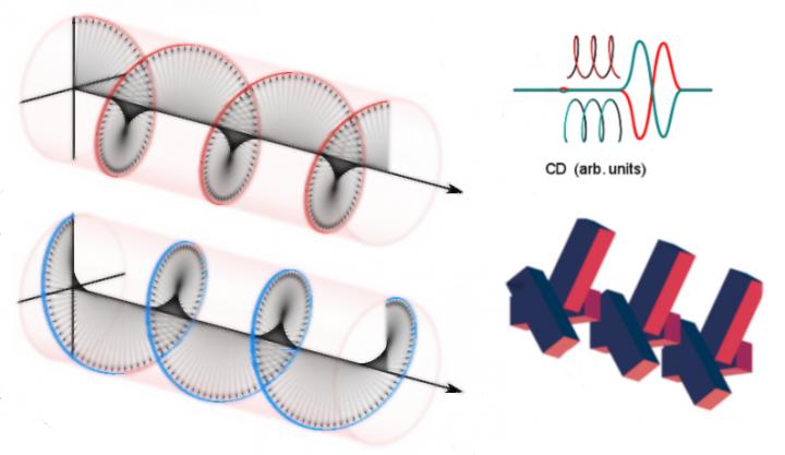 Absorption of Circularly Polarized Light by Supercrystal
