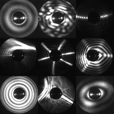 Light Scattering Patterns