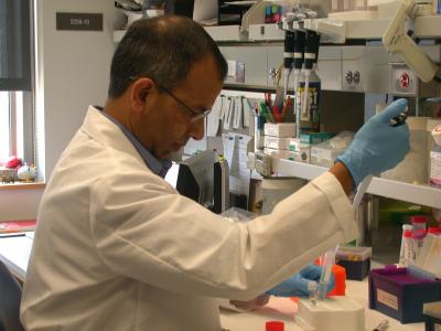 Madhu Singh, University of Iowa