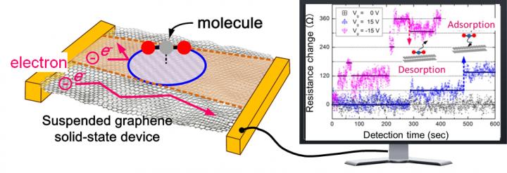 Diagram of Graphene Sensor
