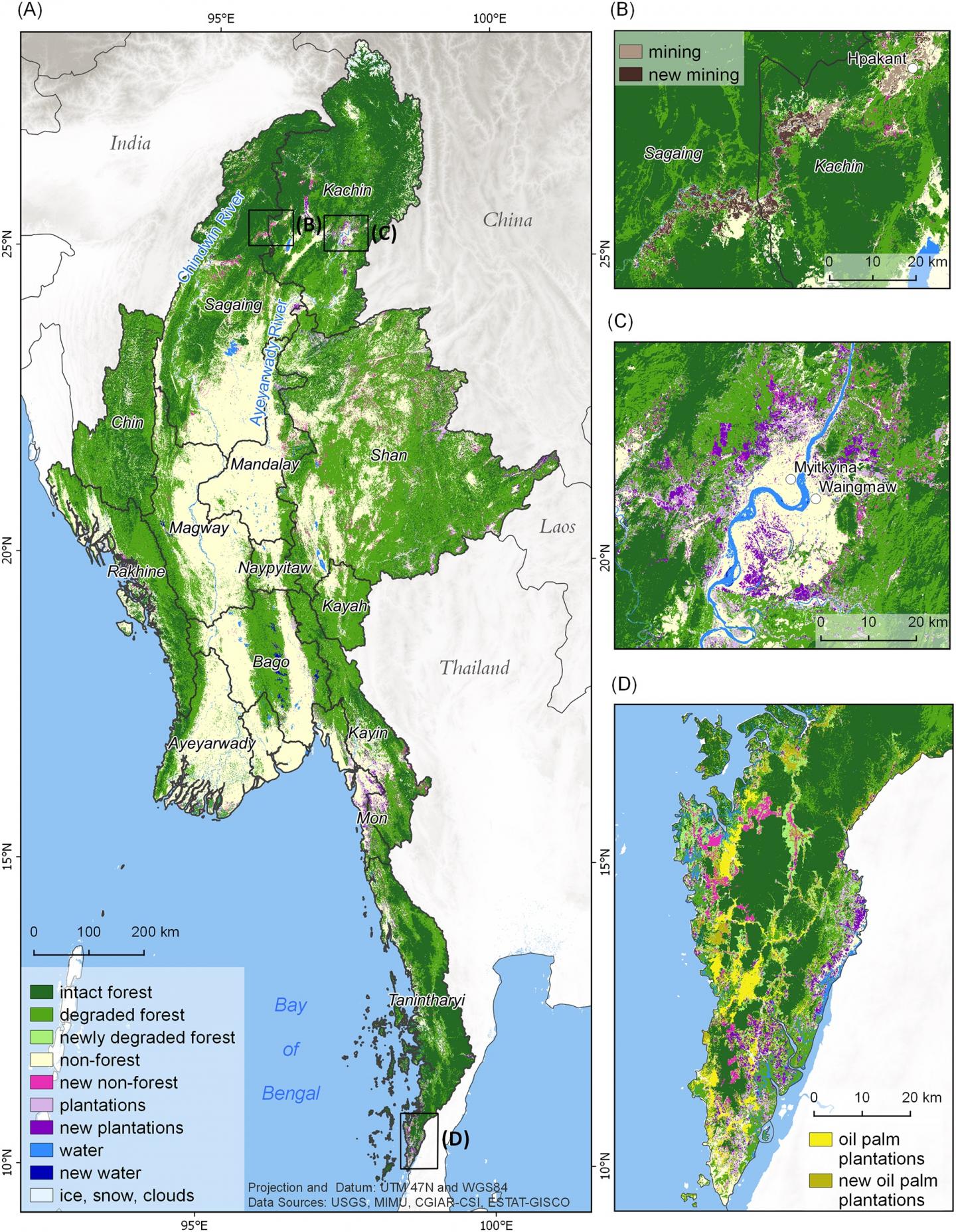 Myanmar's Extensive Forests Are Declining Rapidly Due to Political and Economic Change