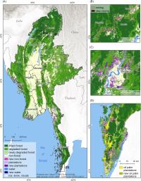 Myanmar's Extensive Forests Are Declining Rapidly Due to Political and Economic Change