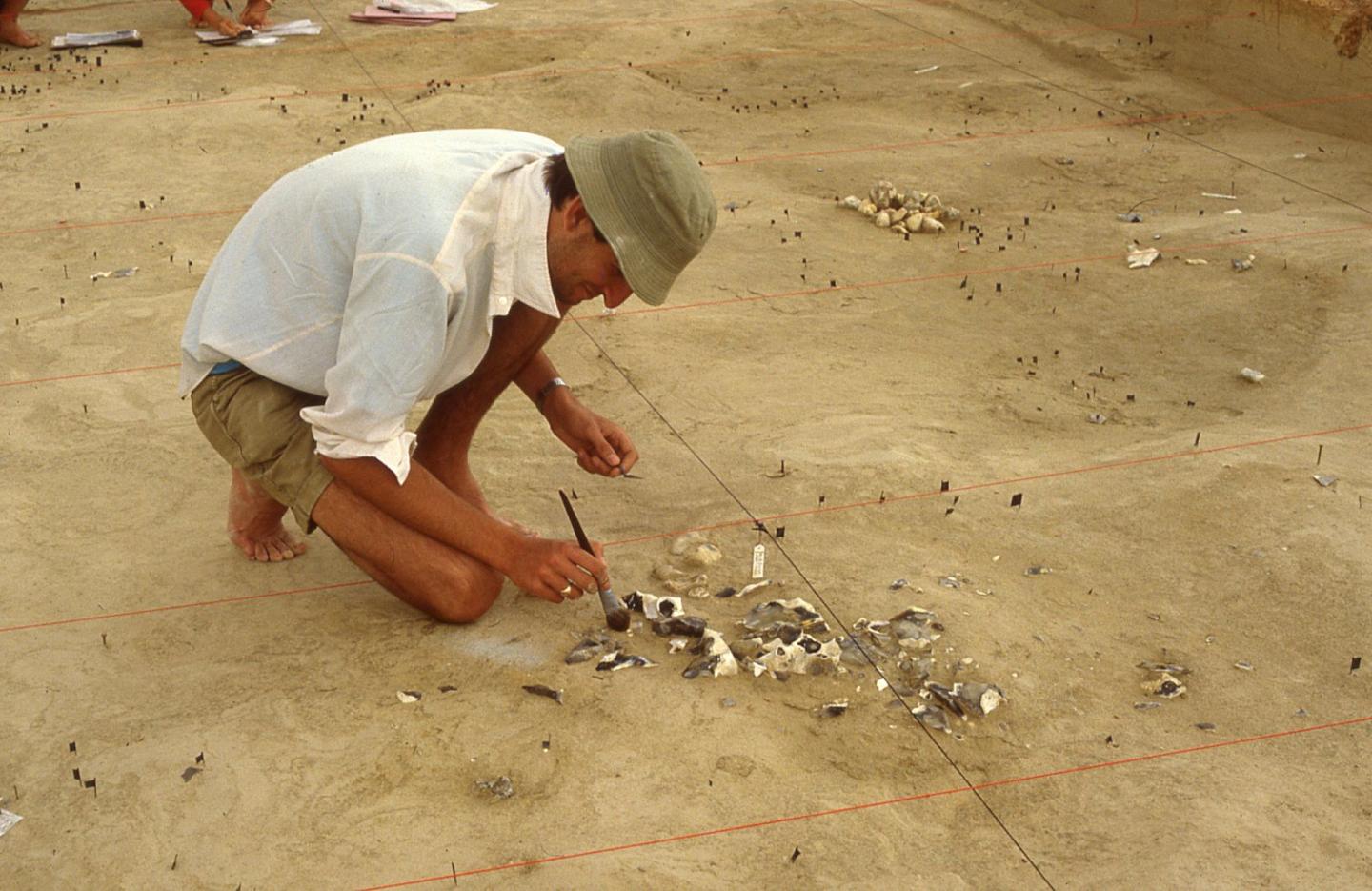 Large Knapping Scatter