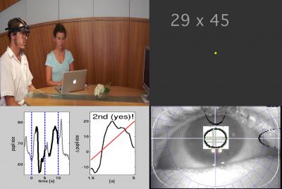Demonstration Still Frame