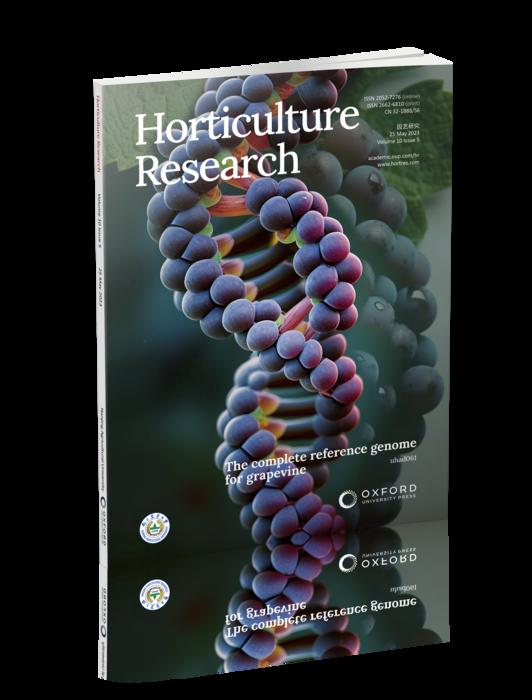 The complete reference genome for grapevine (Vitis vinifera L.) genetics and breeding