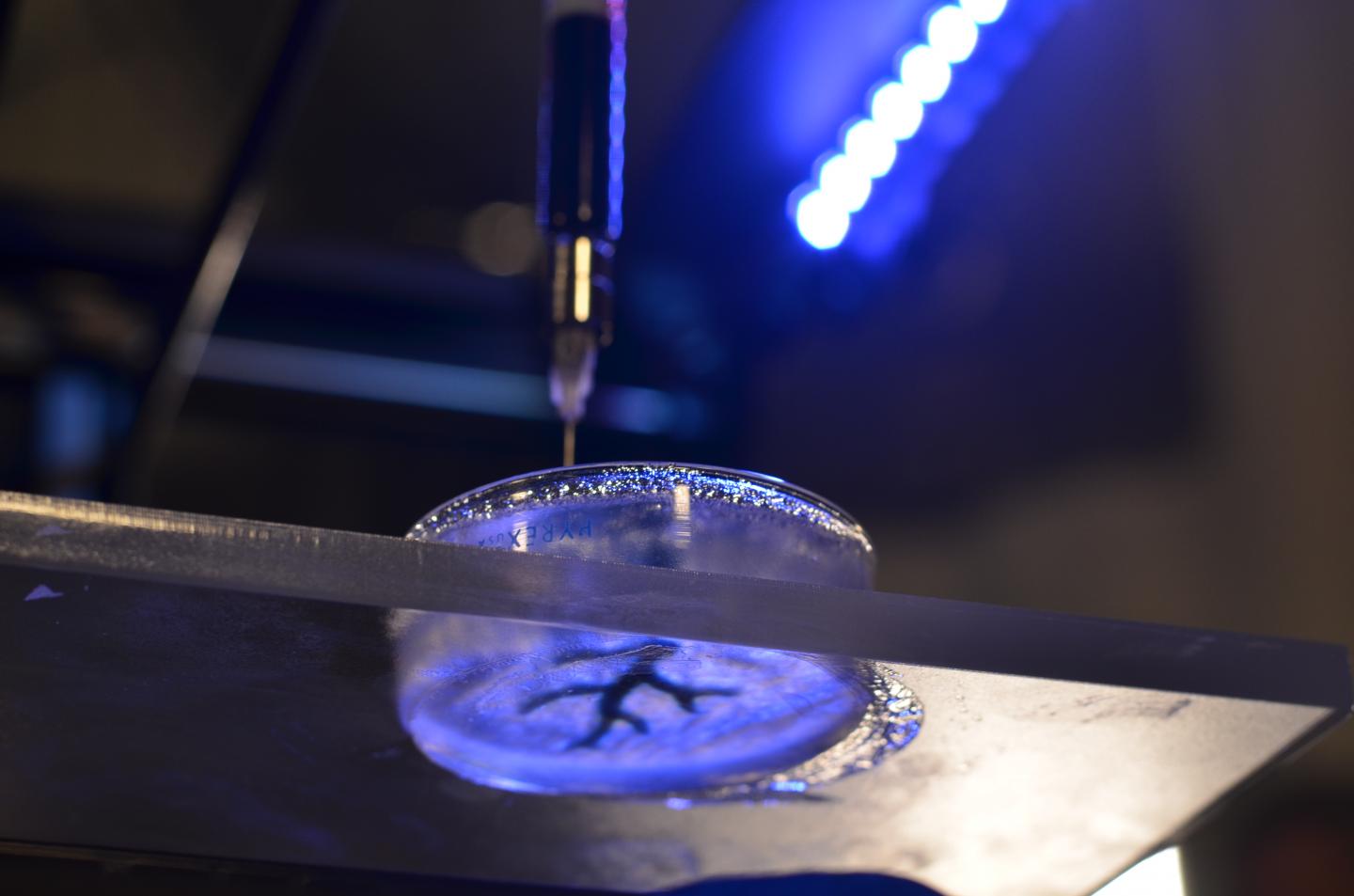 3-D Bioprinting