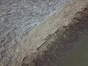 Log jam, Mackenzie River Delta in Nunavut, Canada