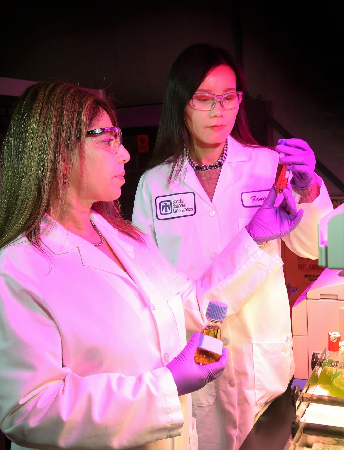 Sandia Scientists Seema Singh and Fang Liu