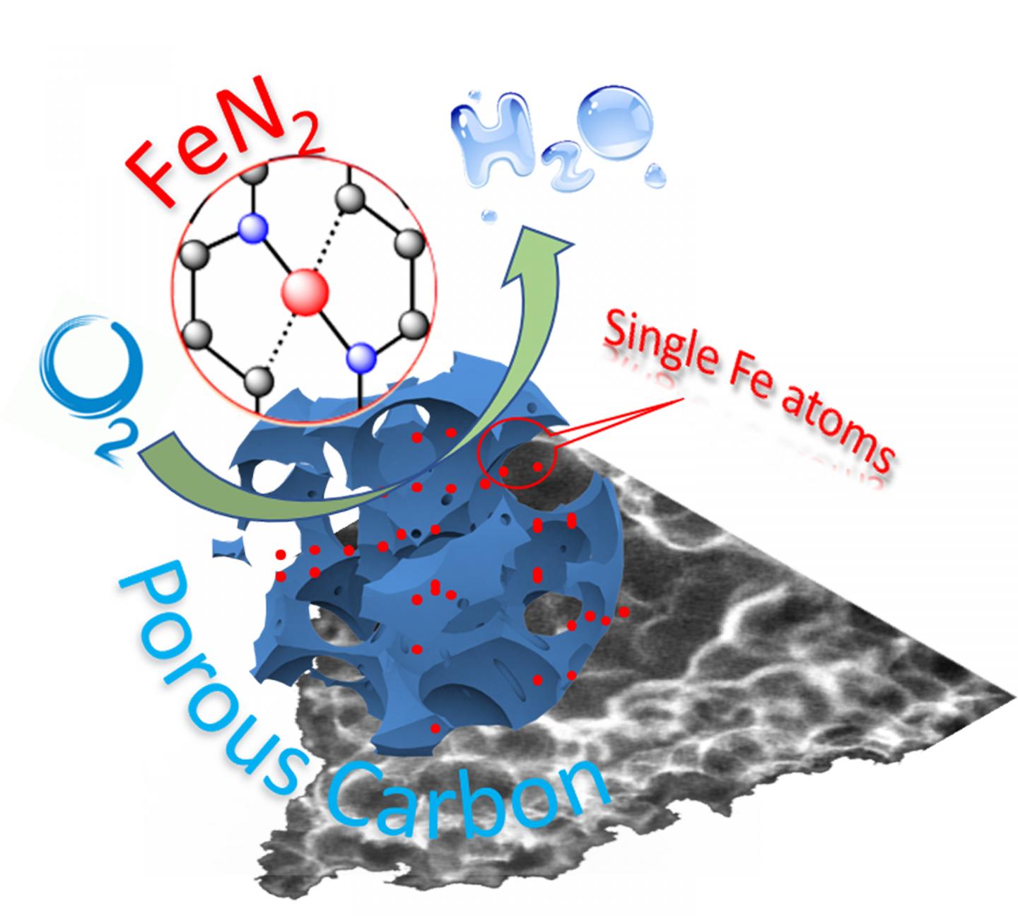 Single-Atom Catalyst