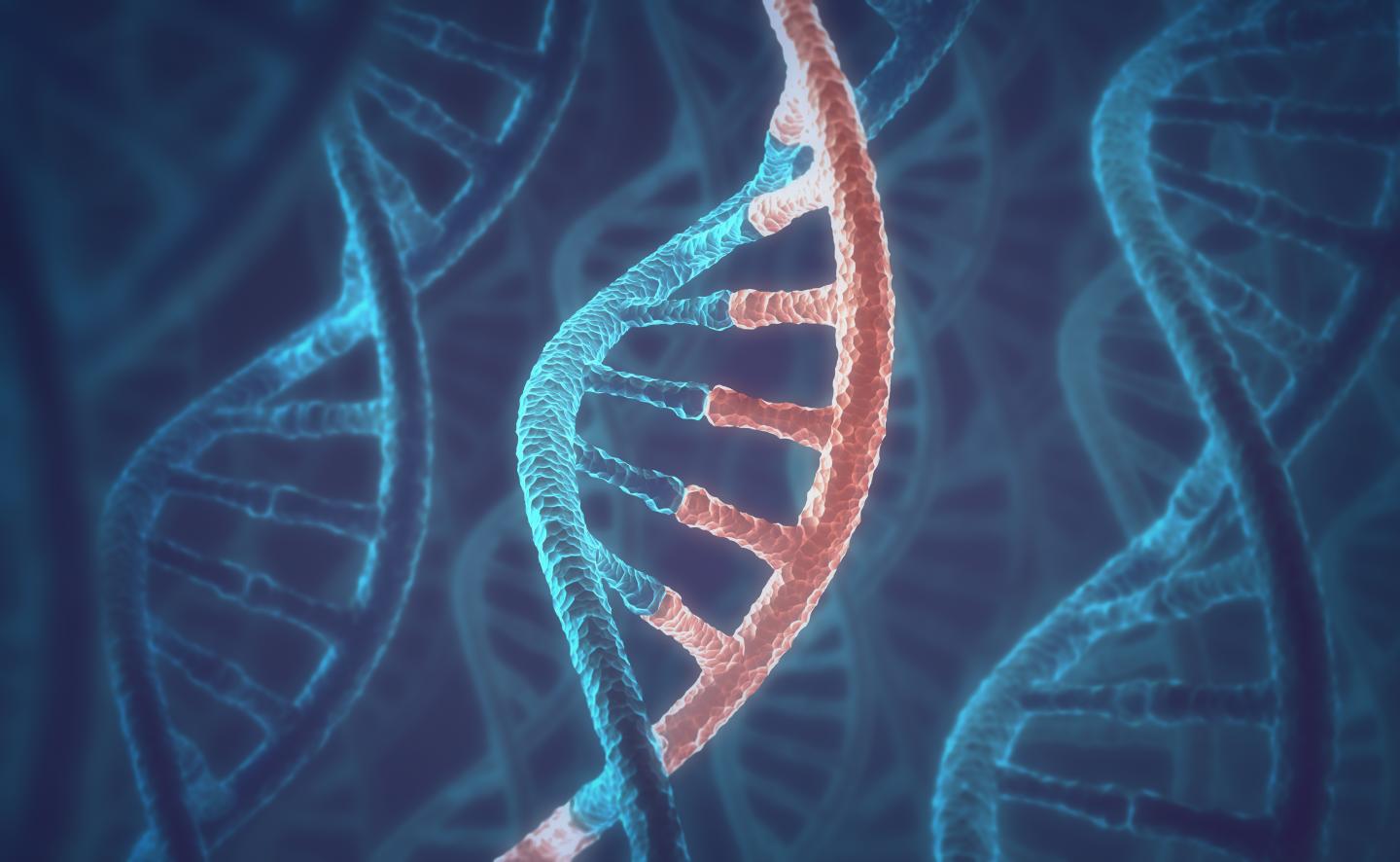 DNA and RNA molecules