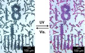 Diarylethene crystal patterning