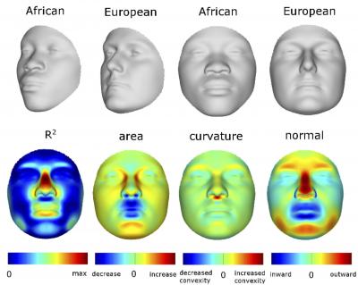 Faces Ancestry