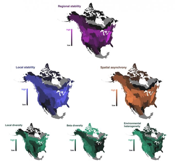 Bird Stability Maps