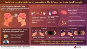 Brain Synchronization and Network Density in Social Relationships