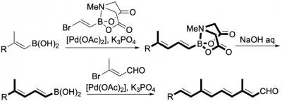 A Pioneering Iterative Polyene Synthesis