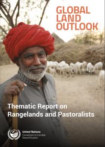 Cover of the new UN CCD report