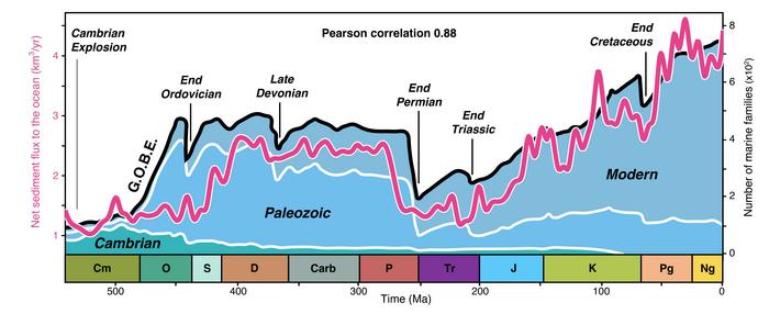 Sediment flux to oceans and diversity of marine species