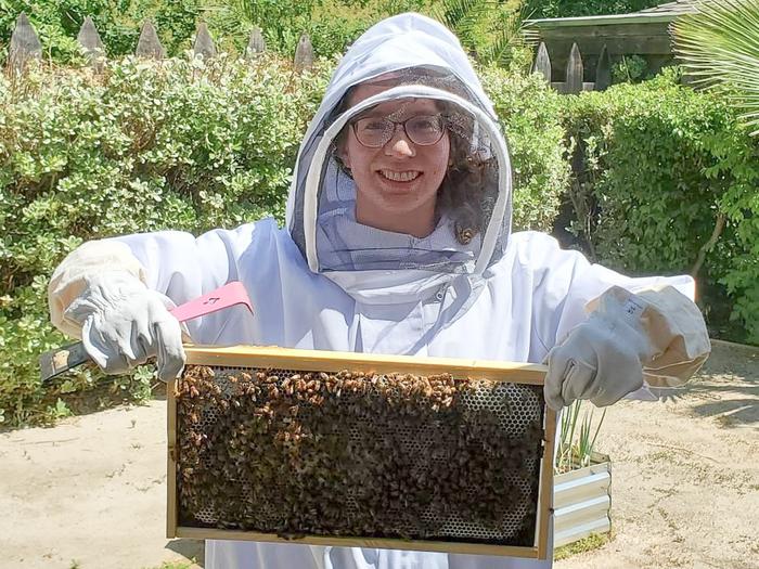 A woman holding a frame of bees