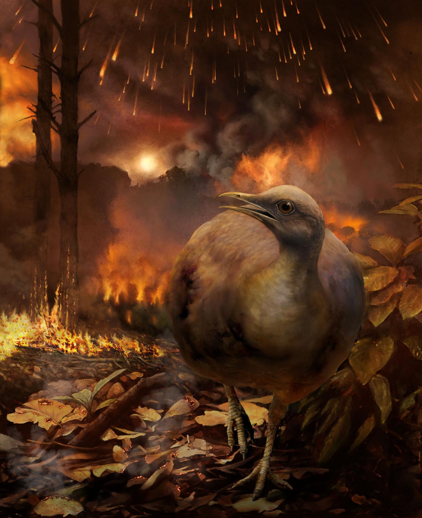 Bird Flees a Burning Forest in the Aftermath of the Asteroid Strike