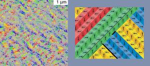 relaxor ferroelectric material - vector field, dipole alignment in mesoscale structures